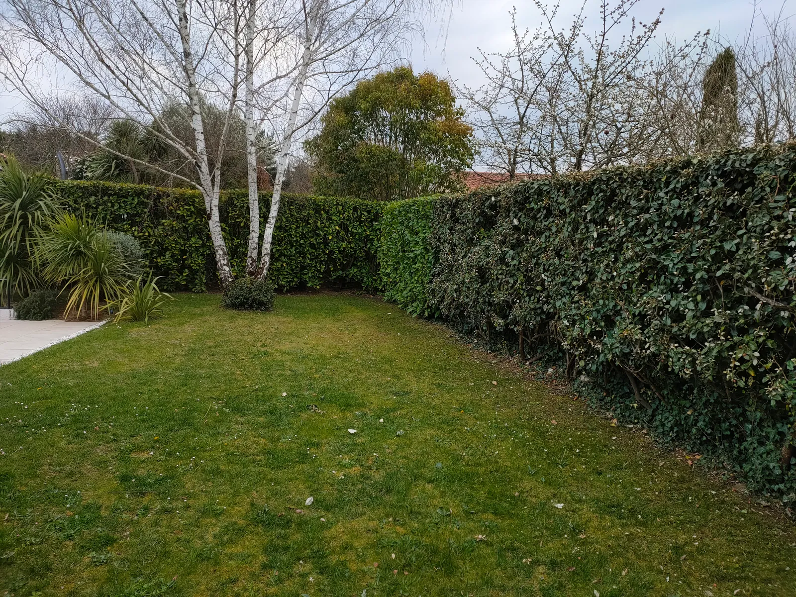 Jardin entretenu avec pelouse tondue et haies taillées à Balma