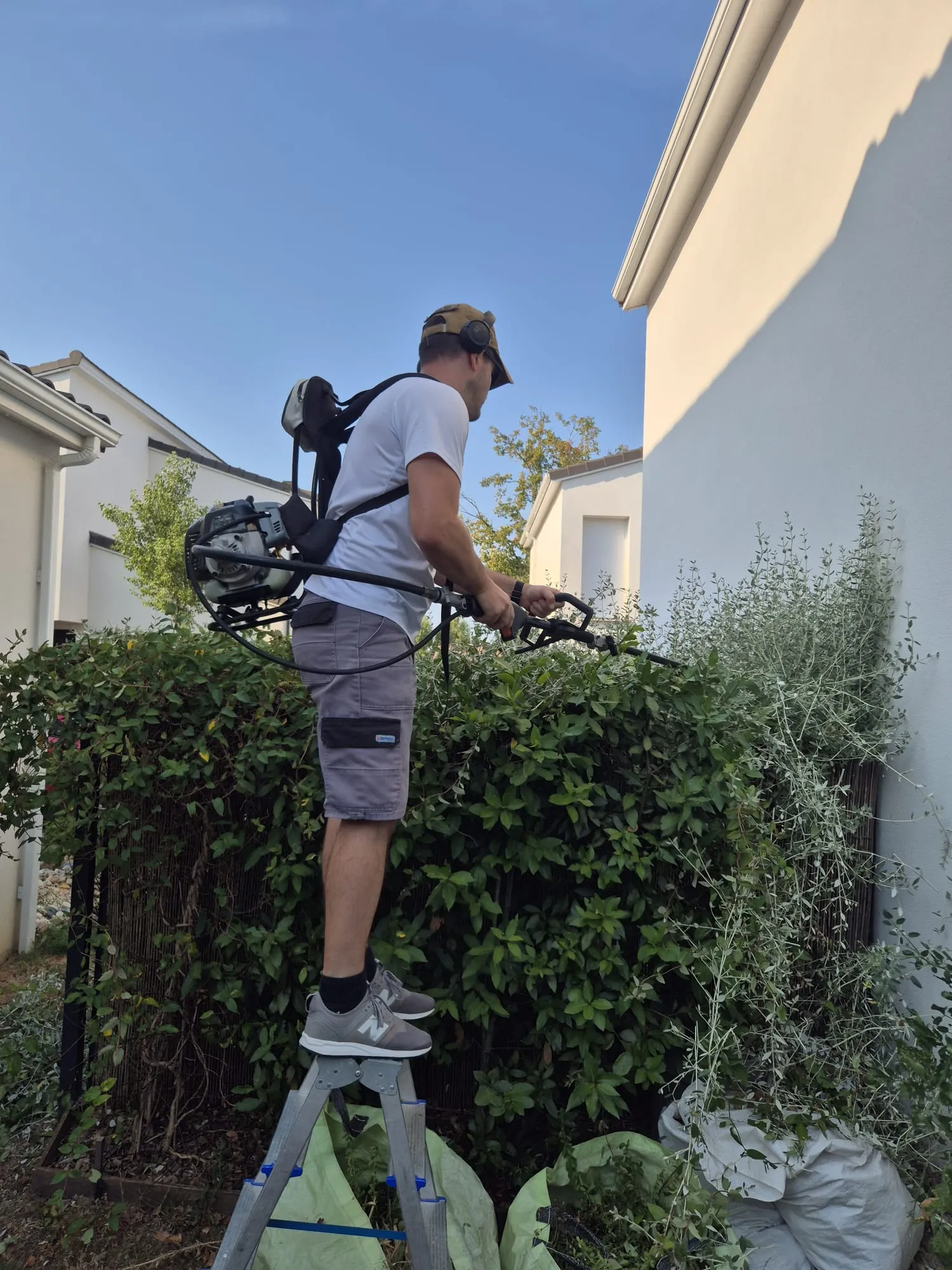 Entretien et taille d'une haie mitoyenne, secteur toulousain